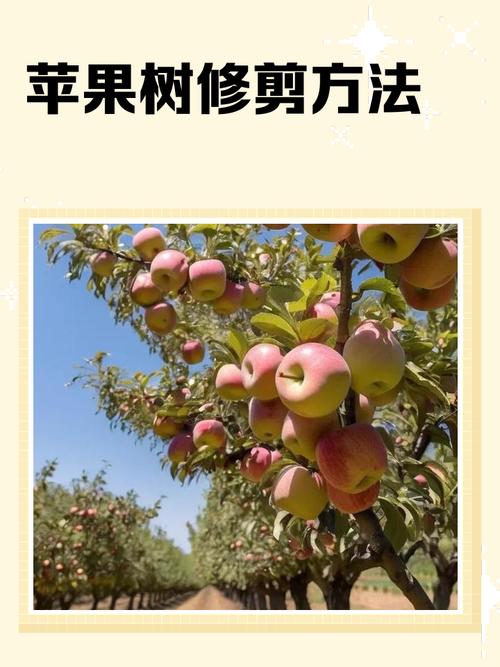苹果树修剪方法，苹果树修剪方法全过程视频-第3张图片-优品飞百科