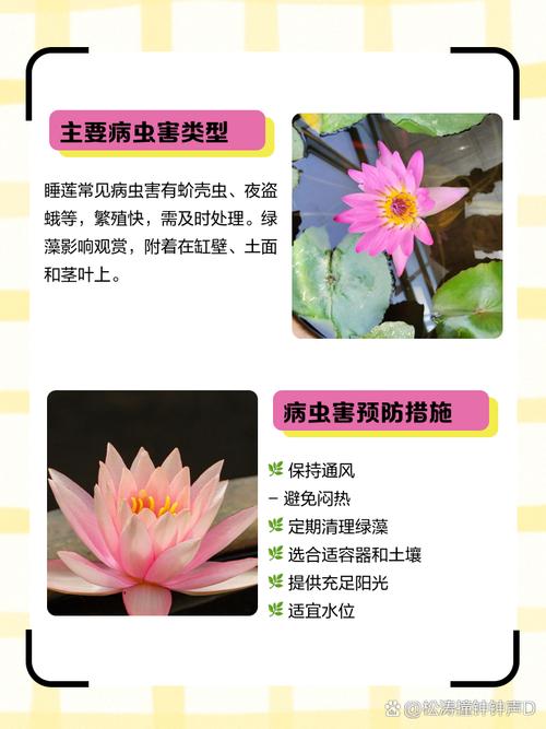 睡莲的病害防治，睡莲的病害防治技术-第5张图片-优品飞百科
