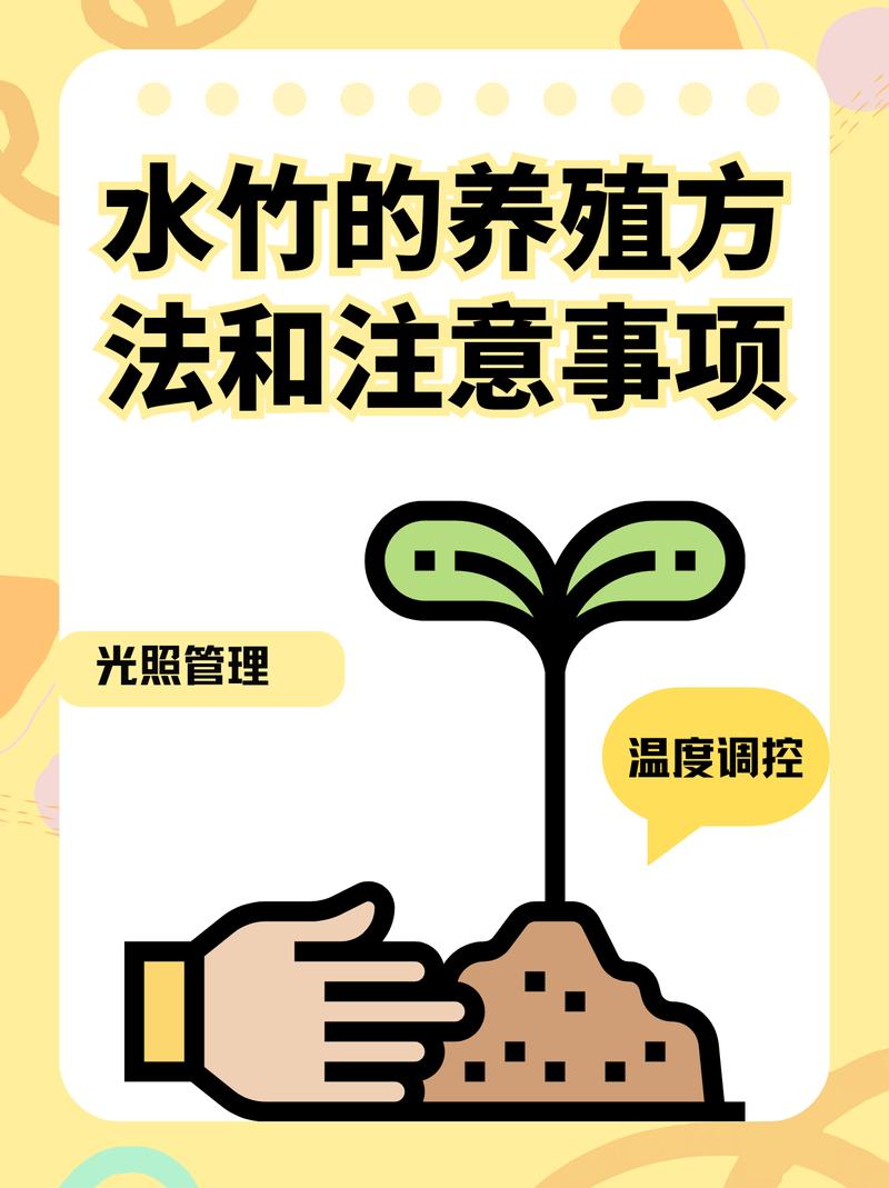 水竹的养殖方法和注意事项，水竹叶子发黄怎么补救-第4张图片-优品飞百科