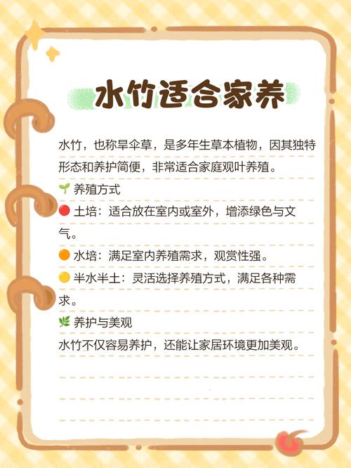 水竹的养殖方法和注意事项，水竹叶子发黄怎么补救-第6张图片-优品飞百科