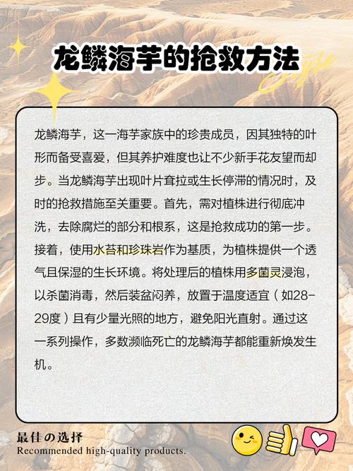 海芋的养殖方法和注意事项，苹果海芋的养殖方法和注意事项-第6张图片-优品飞百科