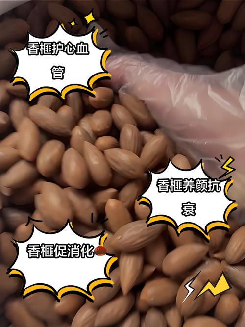 香榧子的功效与作用，干果香榧子的功效与作用-第1张图片-优品飞百科