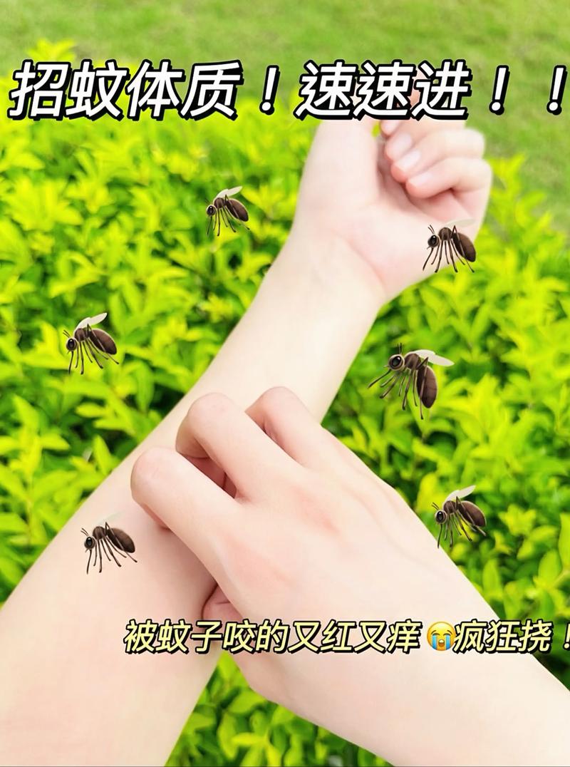 蚊子最怕这8种花，养1盆，蚊香花露水全省了！？蚊子最怕什么花露水？-第3张图片-优品飞百科