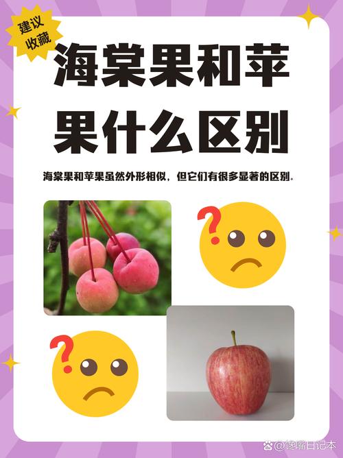 海棠果和沙果有哪些不同，海棠和沙果有什么区别-第4张图片-优品飞百科