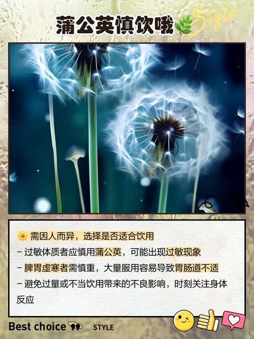 蒲公英泡水喝的功效，玫瑰花加蒲公英泡水喝的功效？-第7张图片-优品飞百科