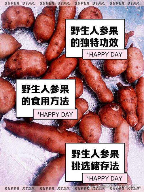 人参果的功效与作用？人参果的功效与作用价值？-第2张图片-优品飞百科