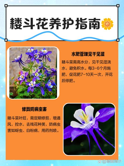 耧斗菜的病虫害防治？耧斗菜好养活吗？-第4张图片-优品飞百科