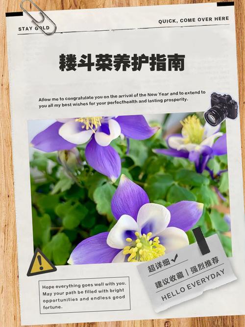 耧斗菜的病虫害防治？耧斗菜好养活吗？-第7张图片-优品飞百科