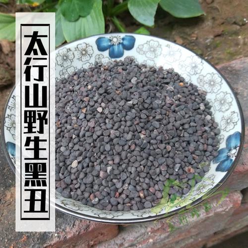 牵牛子的养殖方法和注意事项，牵牛子的养殖方法和注意事项是什么-第6张图片-优品飞百科