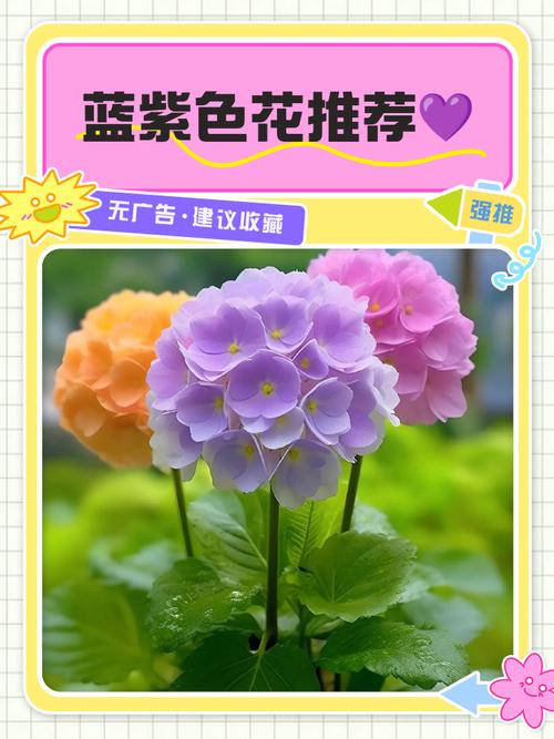 牵牛子的养殖方法和注意事项，牵牛子的养殖方法和注意事项是什么-第7张图片-优品飞百科