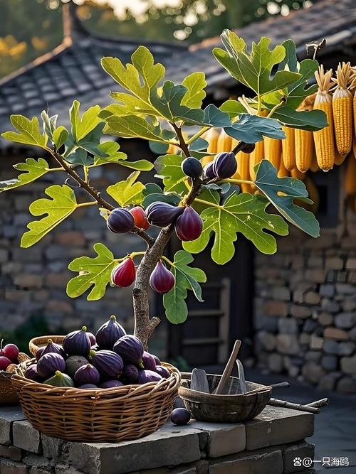 院子里最旺宅的果树？五树进宅,升官发财？-第6张图片-优品飞百科