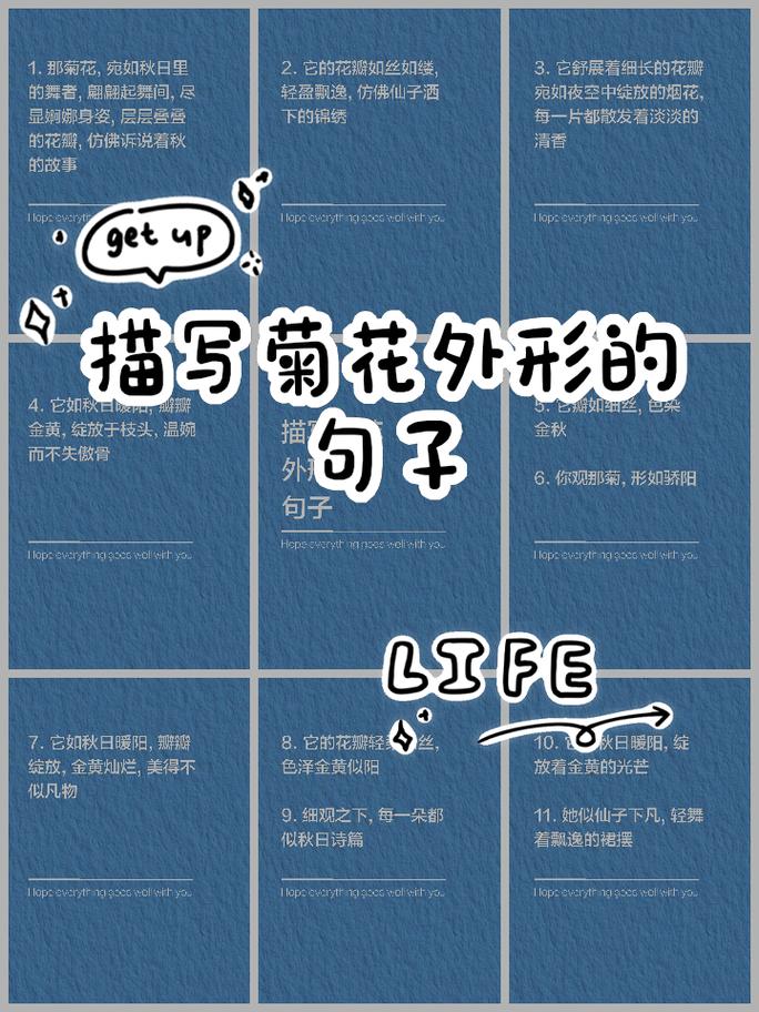 这7种花一开就成球，花朵抱成团，阳台都要挤爆了！，什么花一开就谢了？-第8张图片-优品飞百科