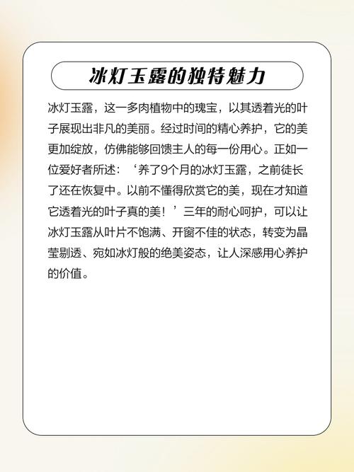 冰灯玉露的养殖方法，冰灯玉露是什么植物？-第2张图片-优品飞百科