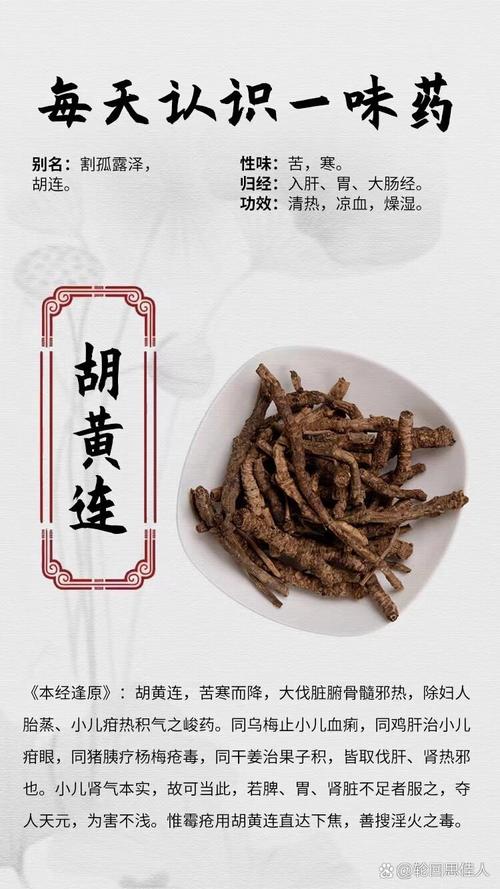 胡黄连的功效与作用，野生黄连功能主治-第5张图片-优品飞百科