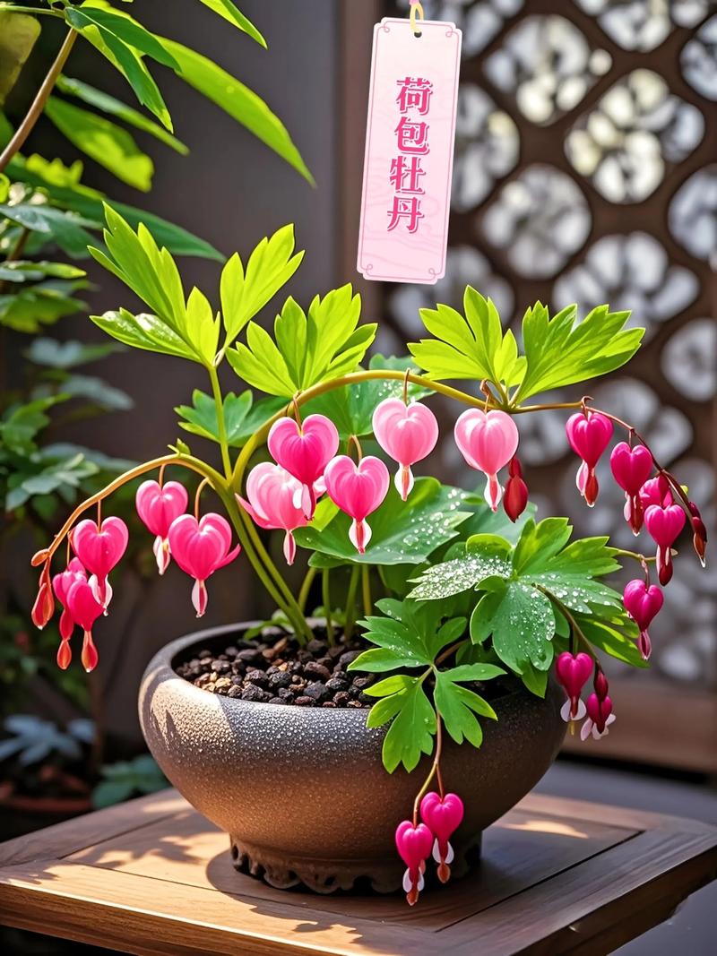 荷包牡丹的病虫害防治，荷包牡丹好养吗种在花盆里？-第3张图片-优品飞百科