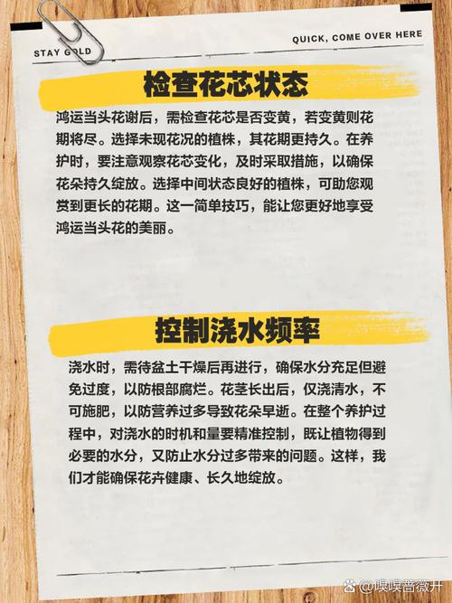 鸿运当头怎么修剪，鸿运当头怎么修剪花心-第1张图片-优品飞百科