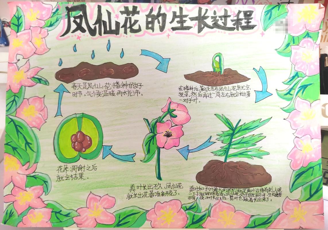 凤仙花怎么种，凤仙花怎么种植方法 在家？