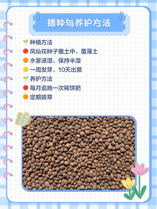 凤仙花怎么种，凤仙花怎么种植方法 在家？-第3张图片-优品飞百科