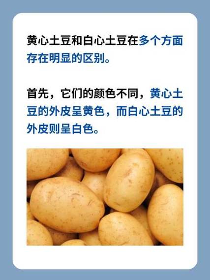 土豆的颜色和形状介绍？土豆的颜色和形状介绍怎么写？-第2张图片-优品飞百科