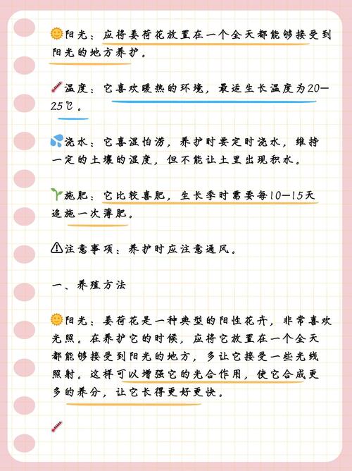 姜荷花怎么养，姜荷花怎么养才能开花多,北方室内养殖要注意什么?？-第6张图片-优品飞百科