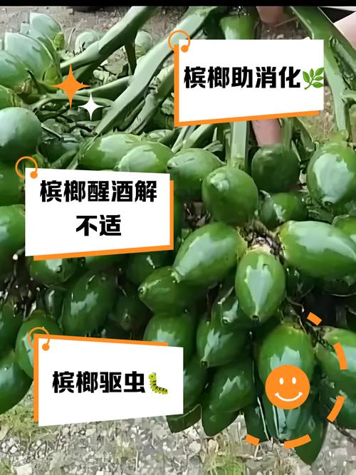 槟榔是什么，槟榔是什么味道？-第3张图片-优品飞百科
