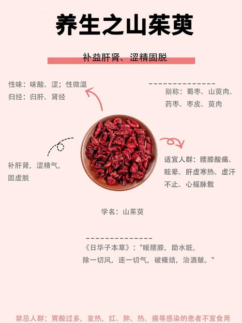 山茱萸的价值，山茱萸价值与功效？-第2张图片-优品飞百科