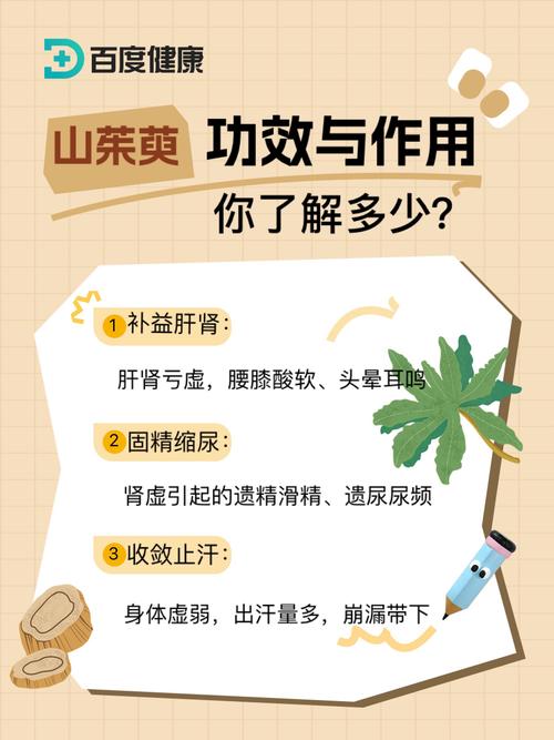 山茱萸的价值，山茱萸价值与功效？-第3张图片-优品飞百科