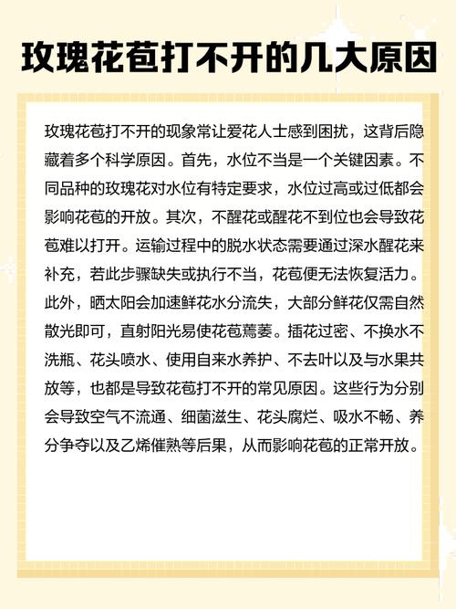 玫瑰不开花怎么处理，玫瑰花不开了是什么意思？-第2张图片-优品飞百科