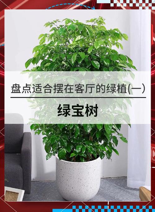 绿宝树怎么换盆，绿宝树怎么换盆视频？-第1张图片-优品飞百科