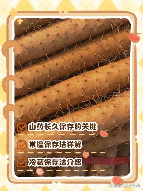 山药怎么保存时间长，山药长期储存方法，山药如何储存才能放的时间长？-第4张图片-优品飞百科