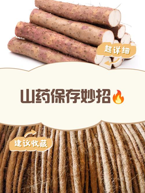 山药怎么保存时间长，山药长期储存方法，山药如何储存才能放的时间长？-第5张图片-优品飞百科