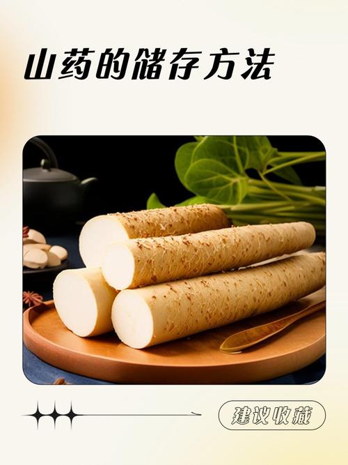 山药怎么保存时间长，山药长期储存方法，山药如何储存才能放的时间长？-第6张图片-优品飞百科