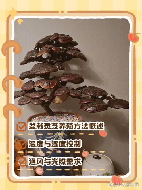 灵芝盆栽养殖方法，灵芝盆栽养殖方法有哪些-第1张图片-优品飞百科