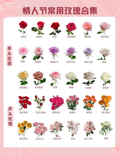 黄玫瑰代表什么意思？黄玫瑰代表什么意思花语是什么？-第2张图片-优品飞百科