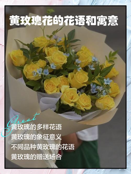 黄玫瑰代表什么意思？黄玫瑰代表什么意思花语是什么？-第3张图片-优品飞百科