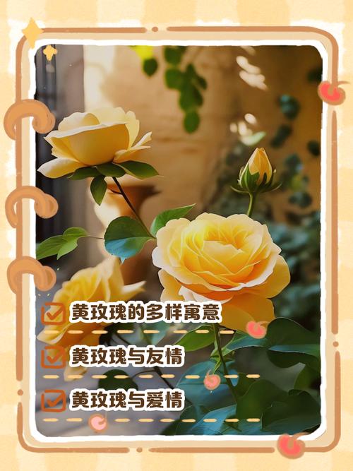 黄玫瑰代表什么意思？黄玫瑰代表什么意思花语是什么？-第5张图片-优品飞百科