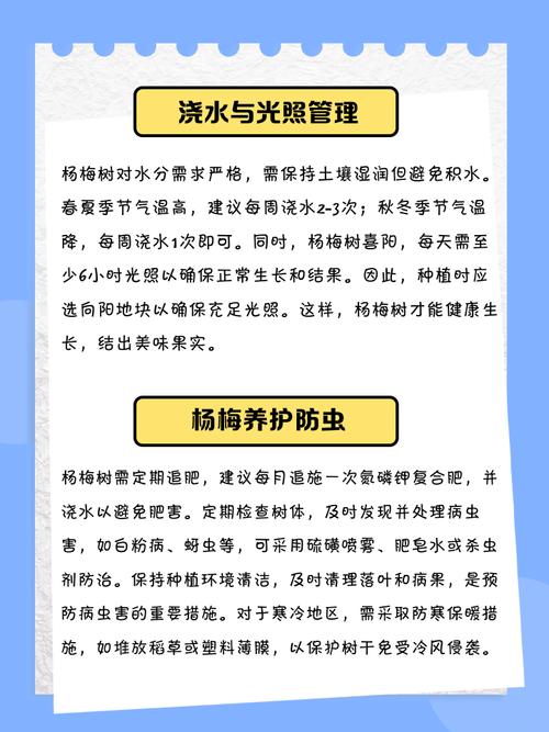 杨梅树怎么栽，杨梅树怎么栽活？-第3张图片-优品飞百科