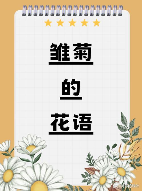 雏菊的花语和寓意?雏菊花图片?-第4张图片-优品飞百科 雏菊的花语和寓意?雏菊花图片?-第4张图片-优品飞百科