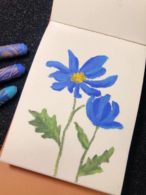 雏菊的花语和寓意?雏菊花图片?-第7张图片-优品飞百科 雏菊的花语和寓意?雏菊花图片?-第7张图片-优品飞百科