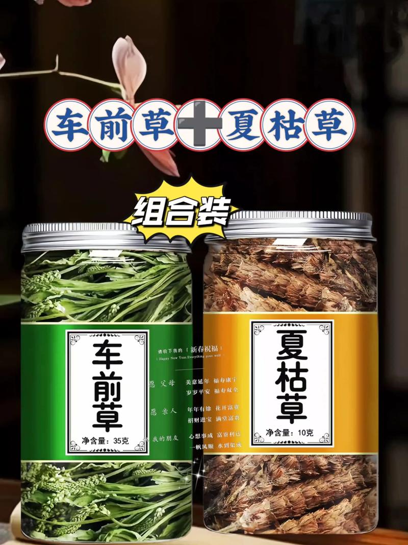 大车前和平车前的主要区别?大车前和平车前的主要区别在于?-第5张图片-优品飞百科 大车前和平车前的主要区别?大车前和平车前的主要区别在于?-第5张图片-优品飞百科