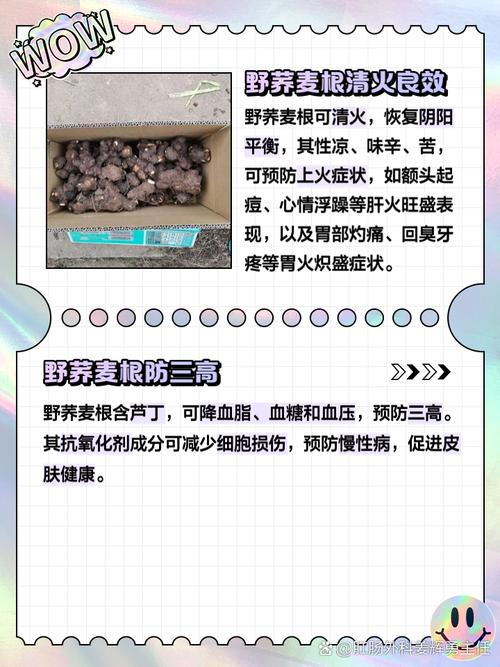 野荞麦和天荞麦的区别，野荞麦作用？-第3张图片-优品飞百科