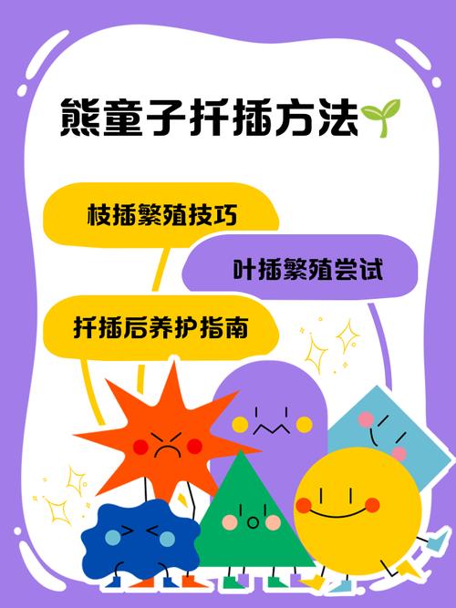 熊童子的繁殖方法？熊童子如何繁殖?？