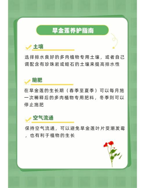 盆栽金莲花的养殖方法?盆栽金莲花的养殖方法视频?-第4张图片-优品飞百科 盆栽金莲花的养殖方法?盆栽金莲花的养殖方法视频?-第4张图片-优品飞百科