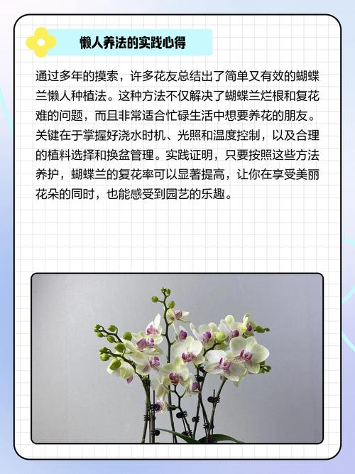 蝴蝶兰怎么养，蝴蝶兰怎么养护与浇水-第1张图片-优品飞百科