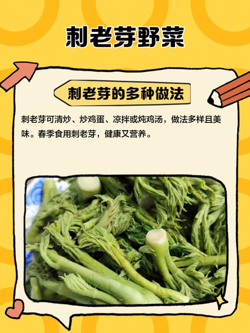 刺老芽怎么种植，刺老芽怎么种植方法？-第3张图片-优品飞百科