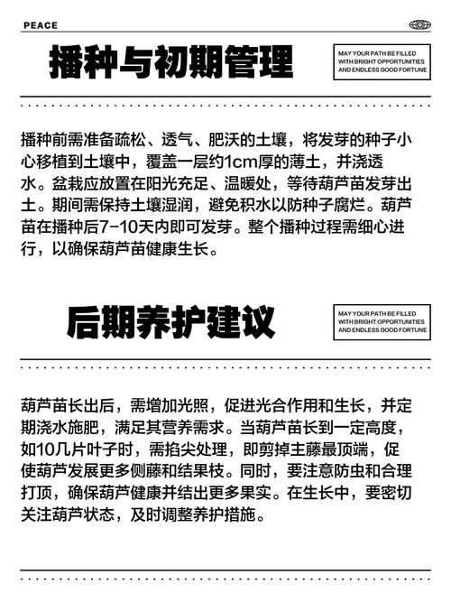 葫芦苗怕水吗，葫芦苗喜欢水吗，葫芦苗耐晒吗？-第3张图片-优品飞百科