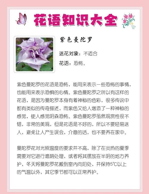 不同颜色的曼陀罗花语，曼陀罗花的颜色和功效有区别吗？-第8张图片-优品飞百科