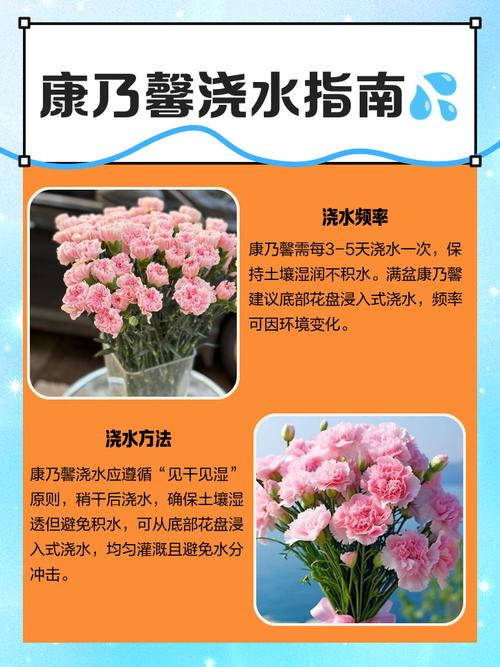 康乃馨多久浇一次水？康乃馨多久浇一次水,怎么浇？-第2张图片-优品飞百科
