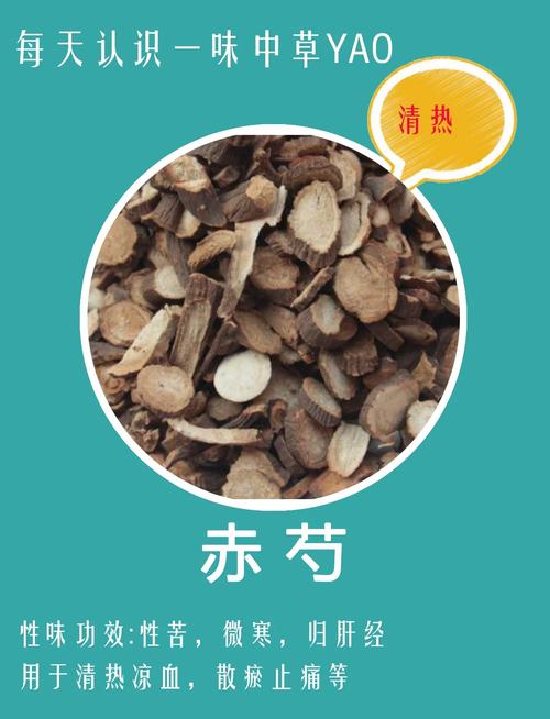草芍药和芍药的区别？芍药草好不好？-第5张图片-优品飞百科