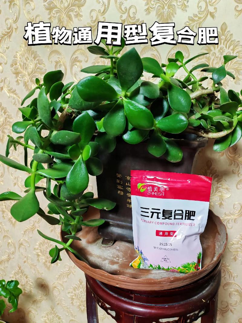 家庭养花常用肥料有哪些，家庭养花常用花肥-第2张图片-优品飞百科